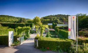 journee_speciale_festival_normandie_impressionniste_2